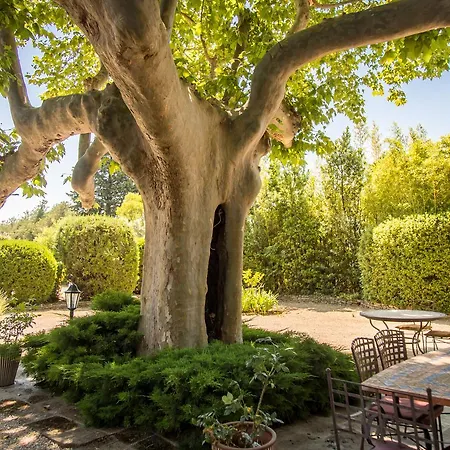 Mas De Shogol Bed and breakfast