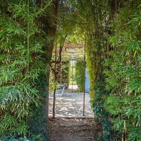 Bed and breakfast Mas De Shogol Cavaillon