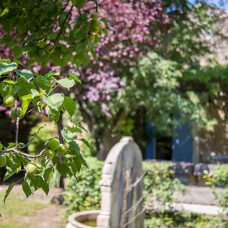 Bed and breakfast Mas De Shogol Cavaillon